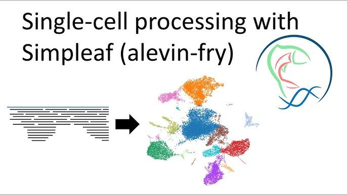 Alevin-fry.quant_res/alevin analysis guide