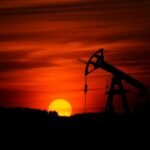 How to Check the Quality of Oil: Color, Smell, Documents, and Certificates