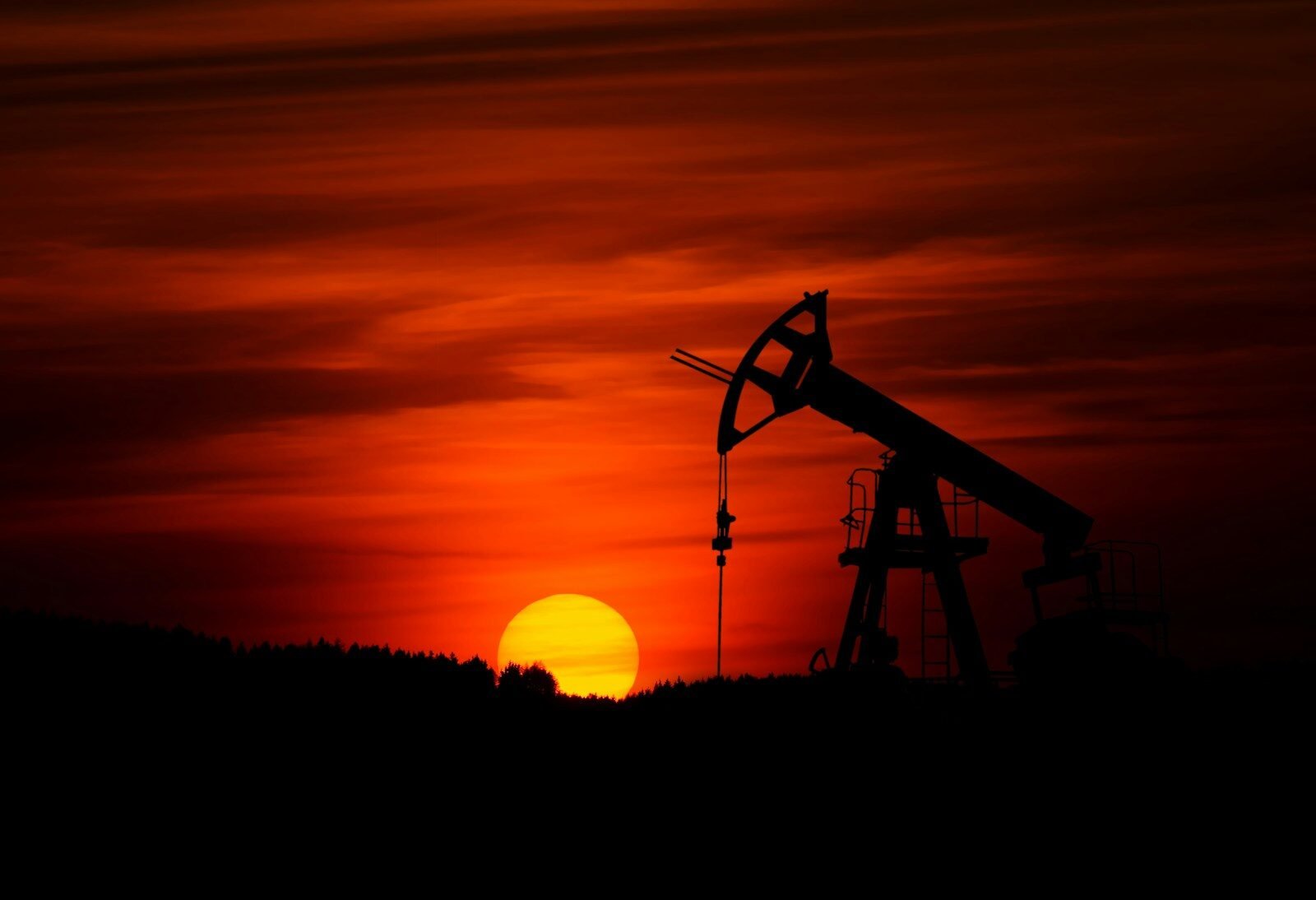 How to Check the Quality of Oil: Color, Smell, Documents, and Certificates