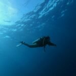 Diver's Daydream