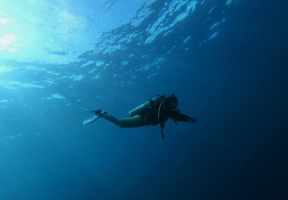 Diver's Daydream