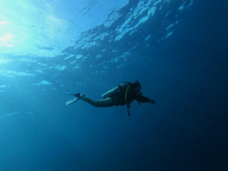 Diver's Daydream
